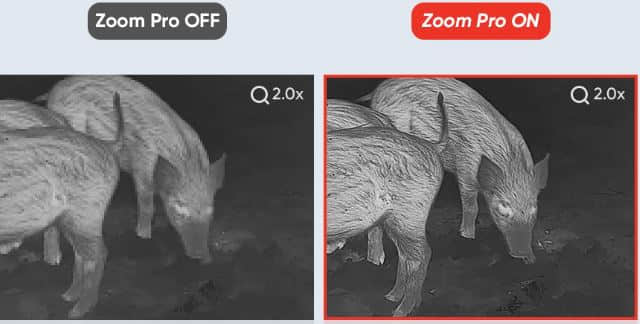 Zoom Pro Function On vs Off