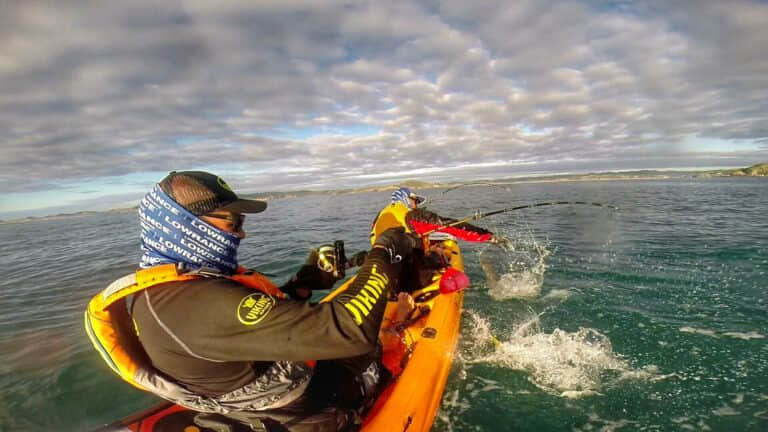 viking tempo 2 Reeling in Fish Banner